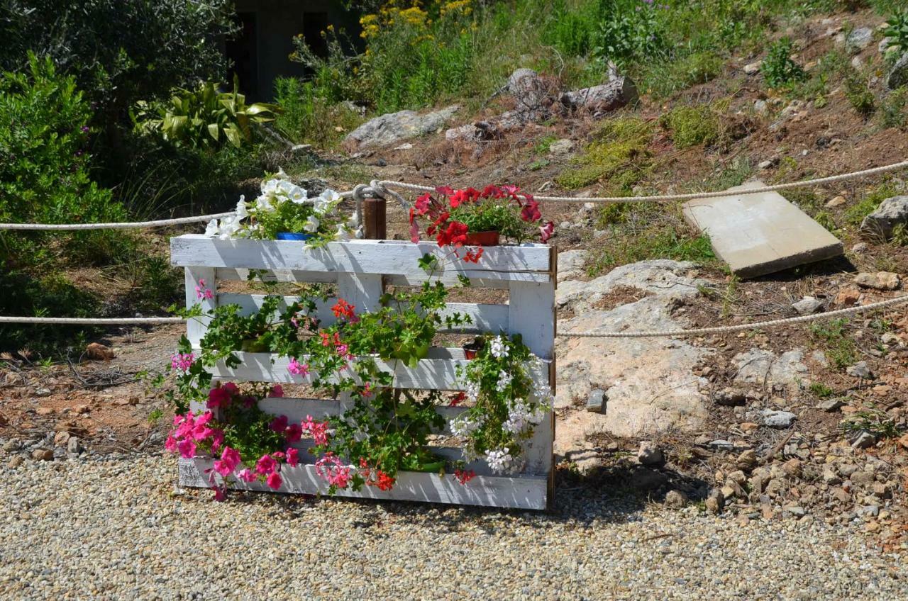 Agriturismo Tendapiccola เชริอาเล ภายนอก รูปภาพ