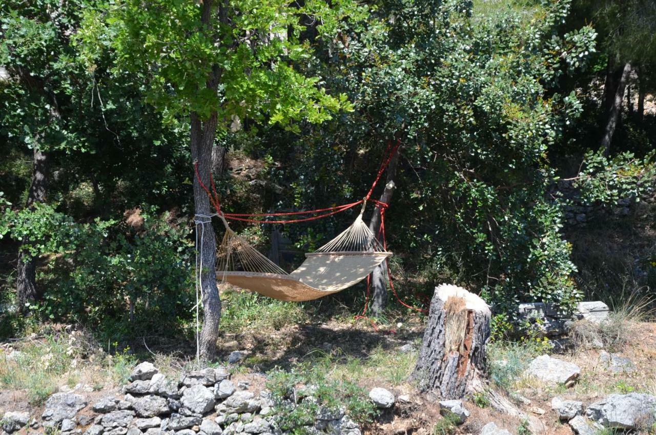 Agriturismo Tendapiccola เชริอาเล ภายนอก รูปภาพ