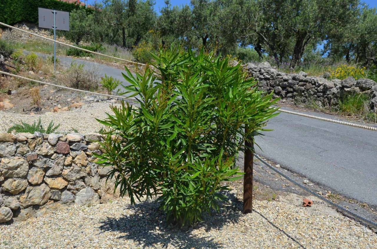 Agriturismo Tendapiccola เชริอาเล ภายนอก รูปภาพ